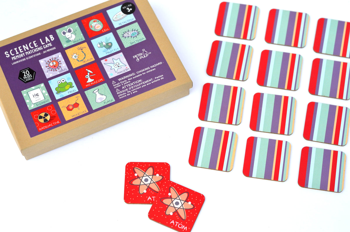 Memory Card Game For Kids
