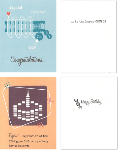 Party Assorted Greeting Cards