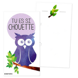 Mini French Joke Valentines (Set of 24, Wallet-Sized Cards) for Valentine's Day 