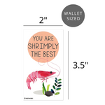 Mini Nautical Sea Pun Joke Valentines (Set of 24, Wallet-Sized Cards) for Valentine's Day 