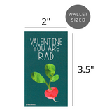 Mini Vegetable Valentines (Set of 24, Wallet-Sized) Cards for Valentine's Day 