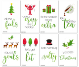24 Funny Holiday Tags for Millennials (Wallet-Sized Cards) Plus Envelopes – Yaaasss Christmas, Let’s Get Lit, All The Feels, Squad Goals, Going Cray, Spill The Tea, Be Extra, Salty 